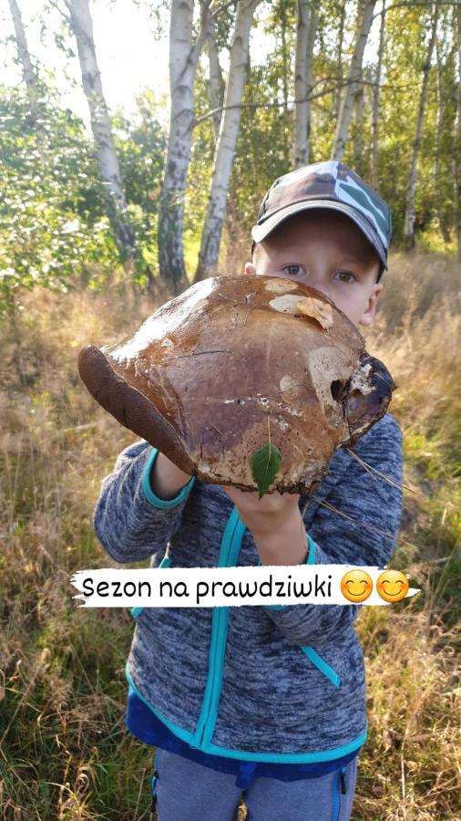 Aris Pokoje Goscinne Wojnicz Dış mekan fotoğraf